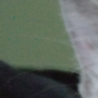 LUNA | Raza Aslan o Siamés moderno, punto tabby | Final Feliz