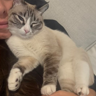 Foto de VROUWTJE