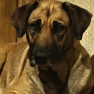 Foto de 
