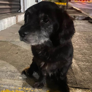 Foto de 