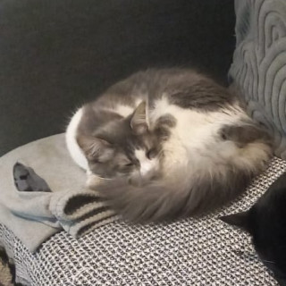 Foto de SKY